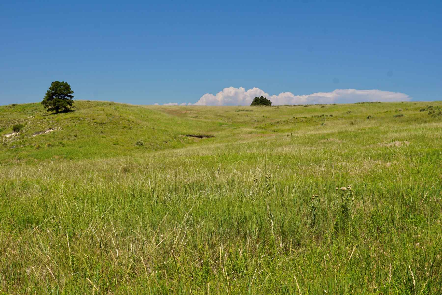 Bozle Creek Ranch property picture 38 of 87