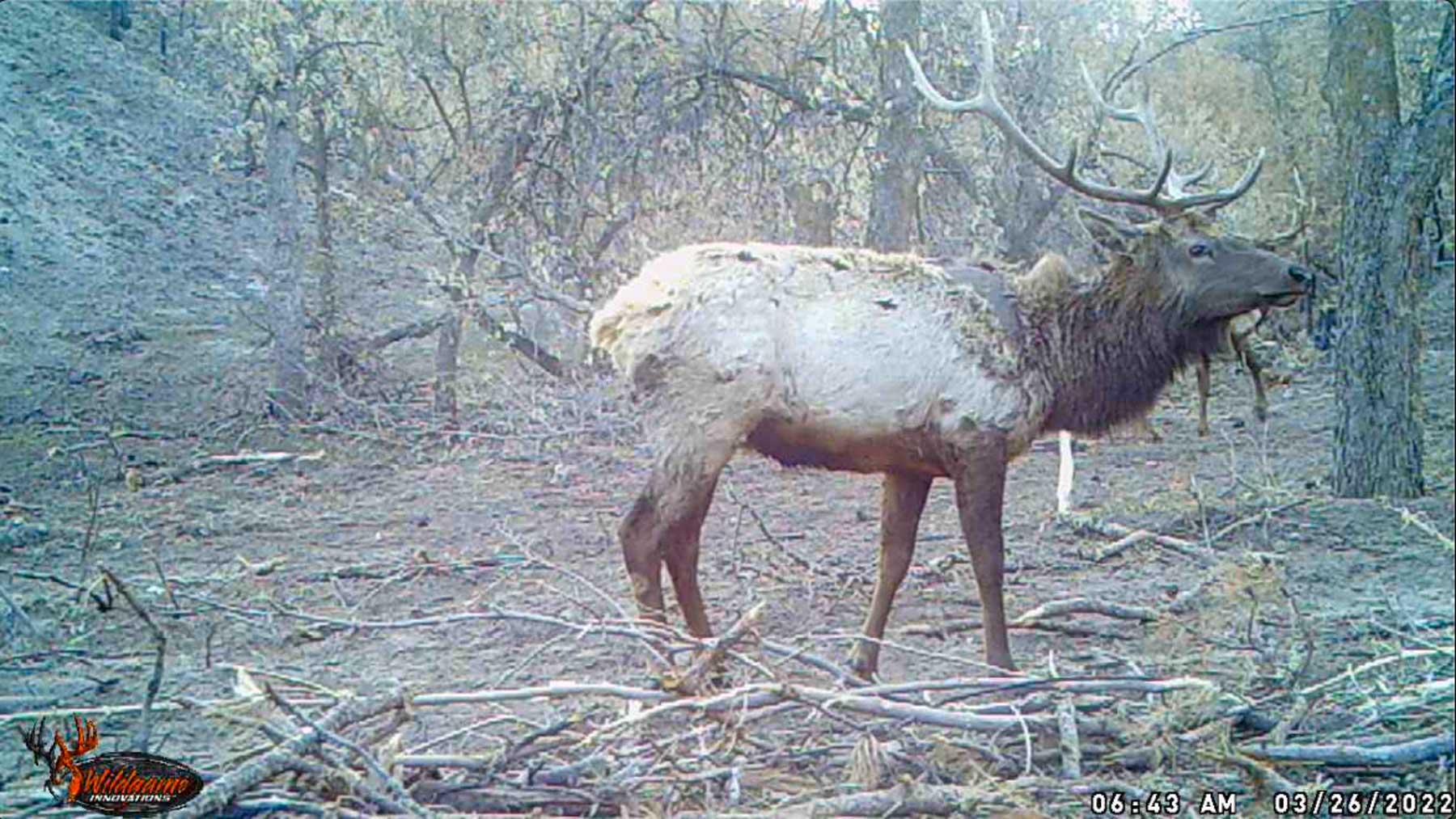 Bozle Creek Ranch property picture 56 of 87
