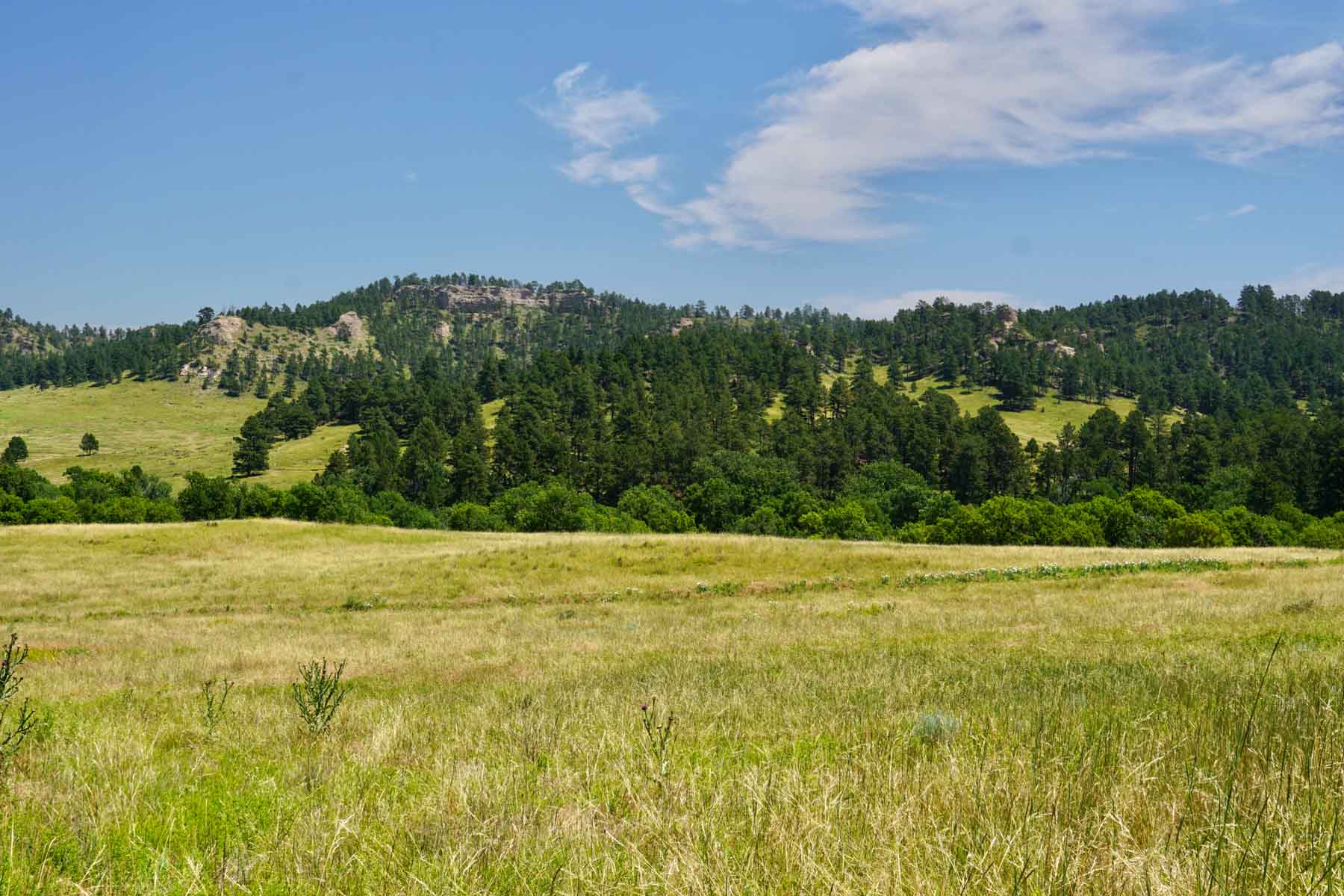 Bozle Creek Ranch property picture 29 of 87