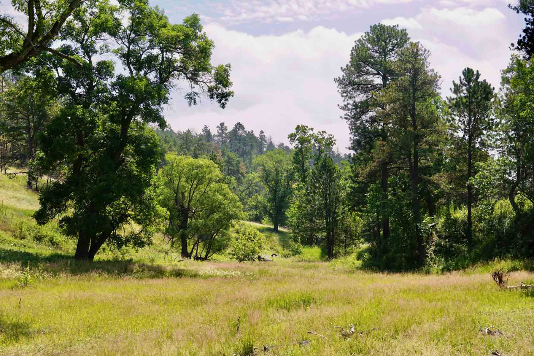 Bozle Creek Ranch property picture 7 of 87