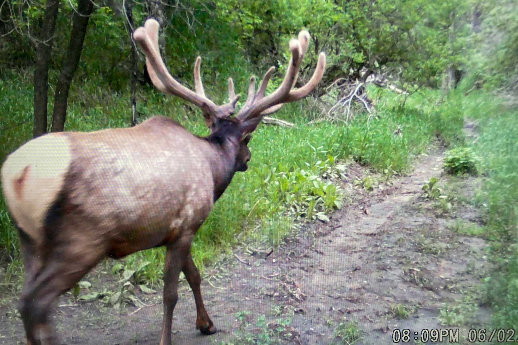 Bozle Creek Ranch property picture 53 of 87