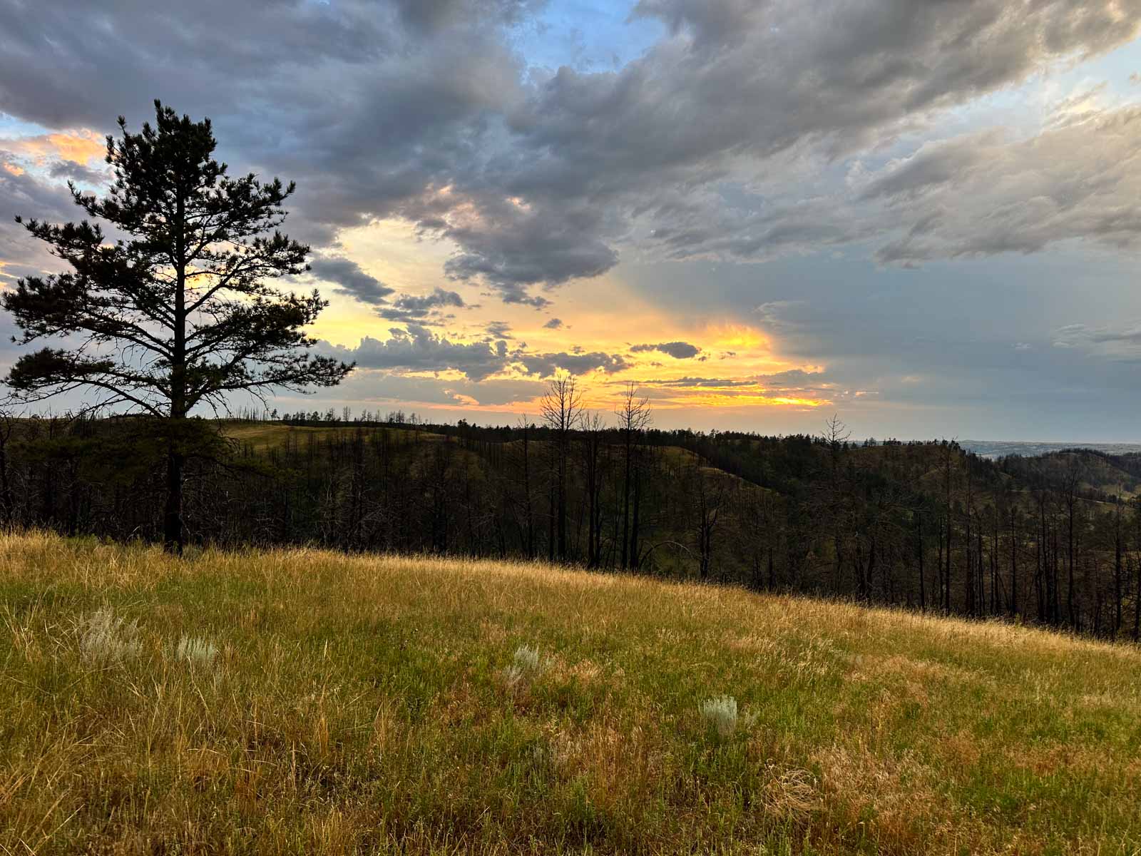 Bozle Creek Ranch property picture 51 of 87