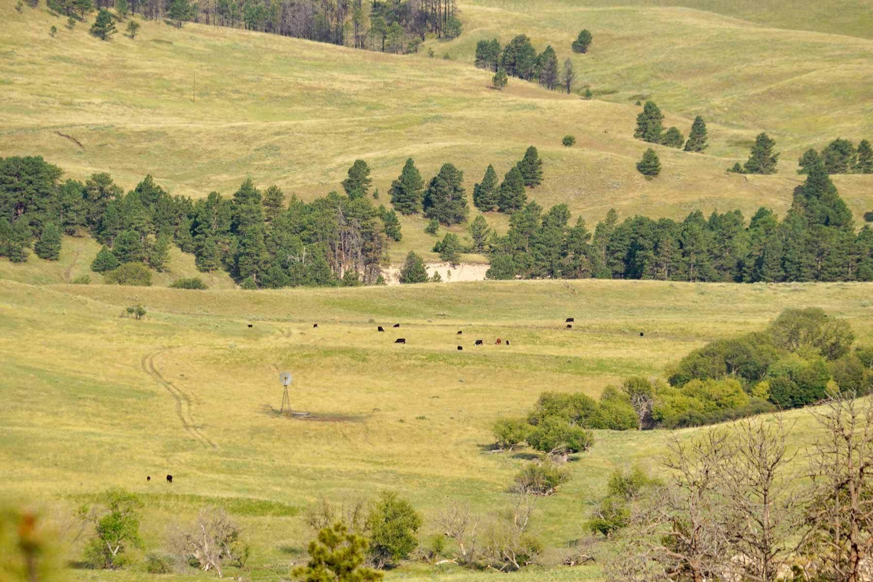 Bozle Creek Ranch property picture 61 of 87