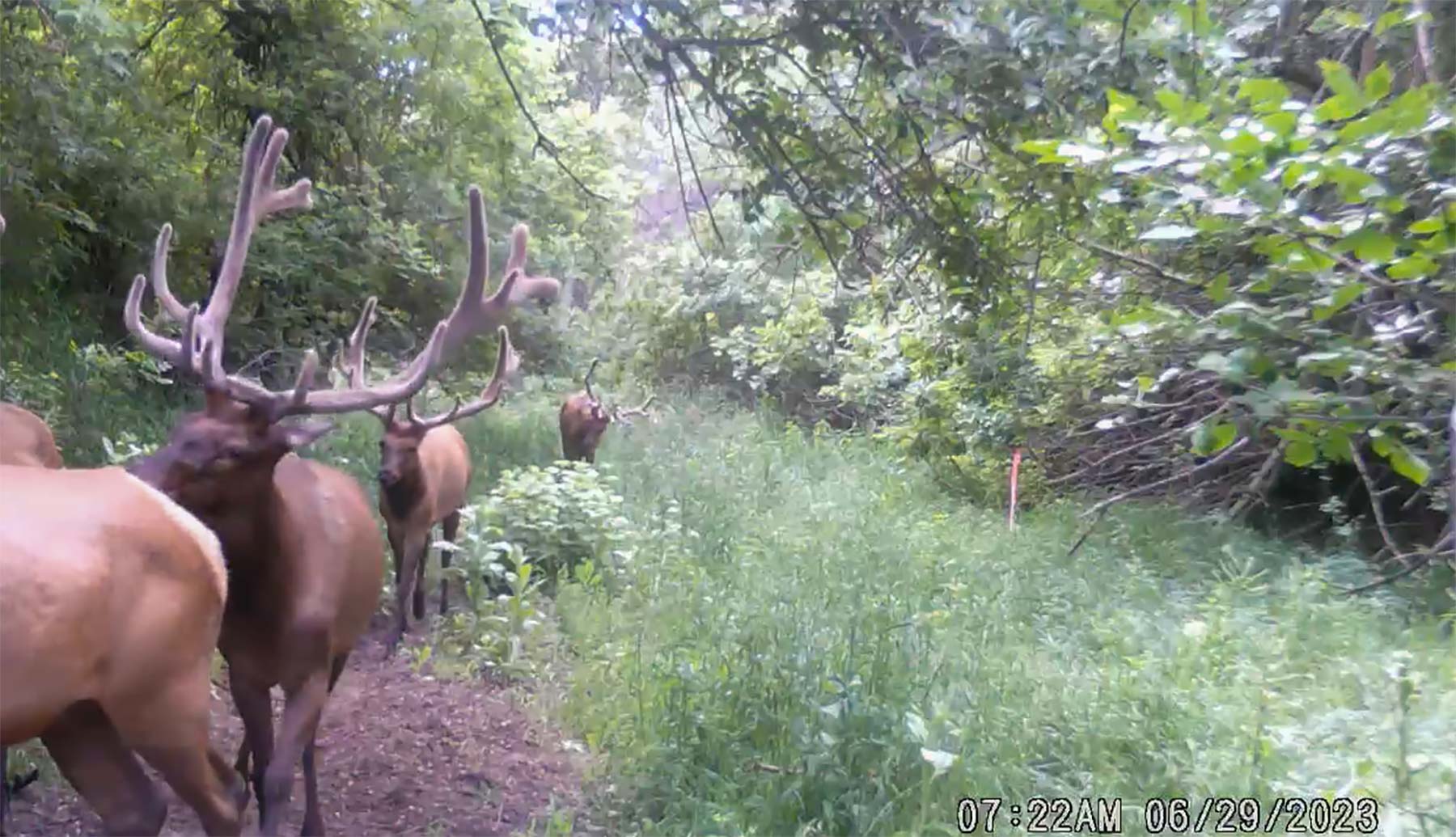Bozle Creek Ranch property picture 72 of 87