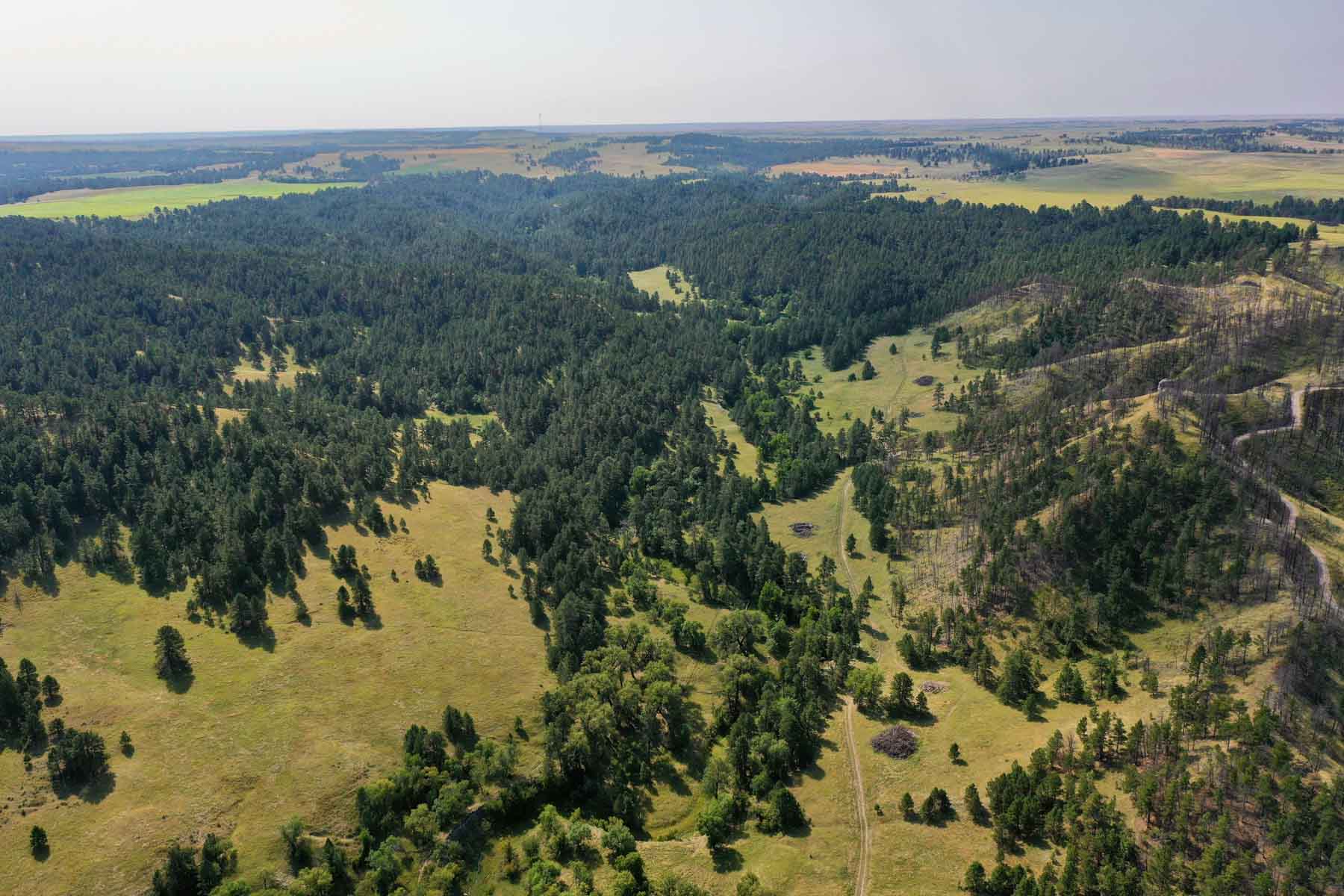 Bozle Creek Ranch property picture 21 of 87