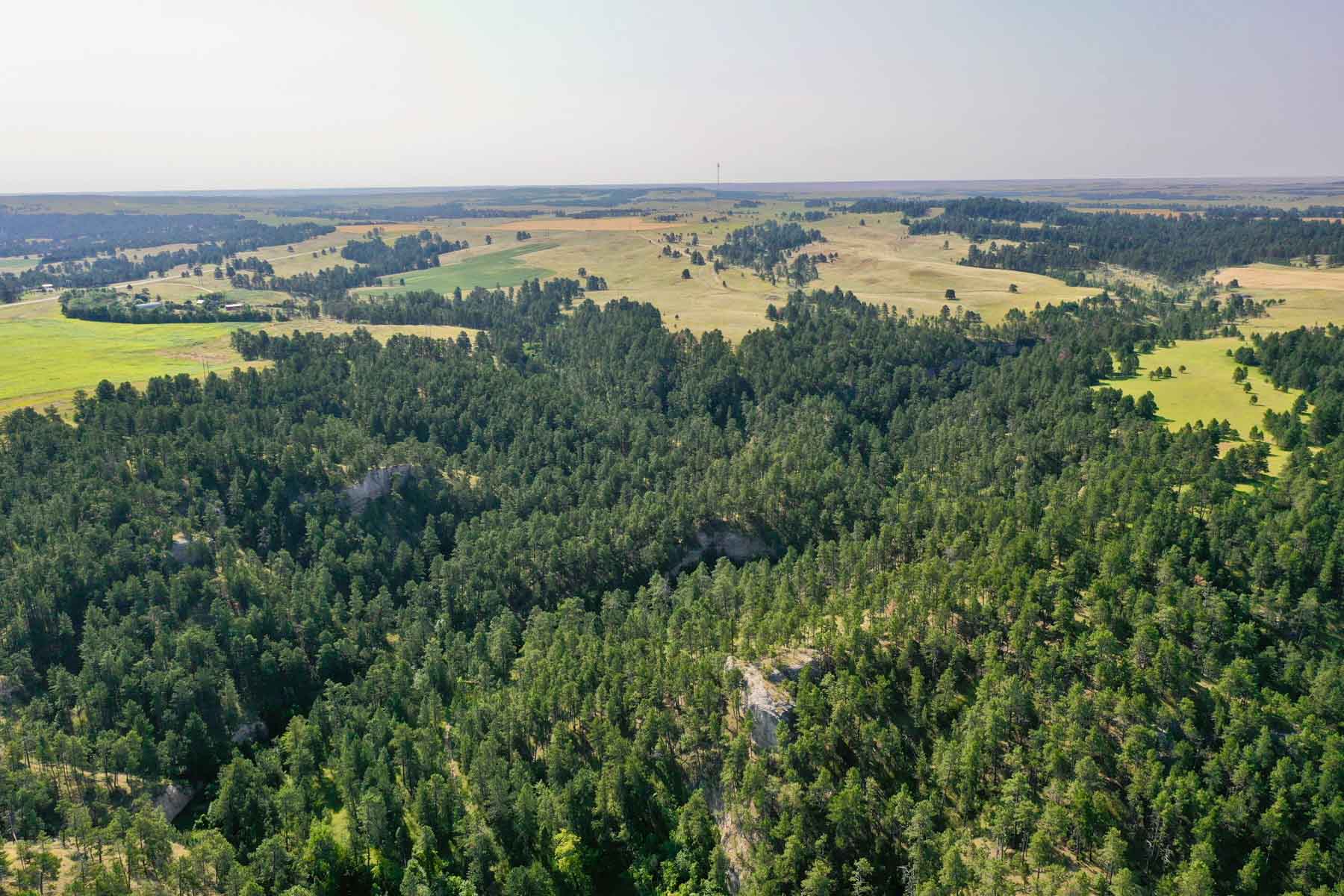 Bozle Creek Ranch property picture 87 of 87