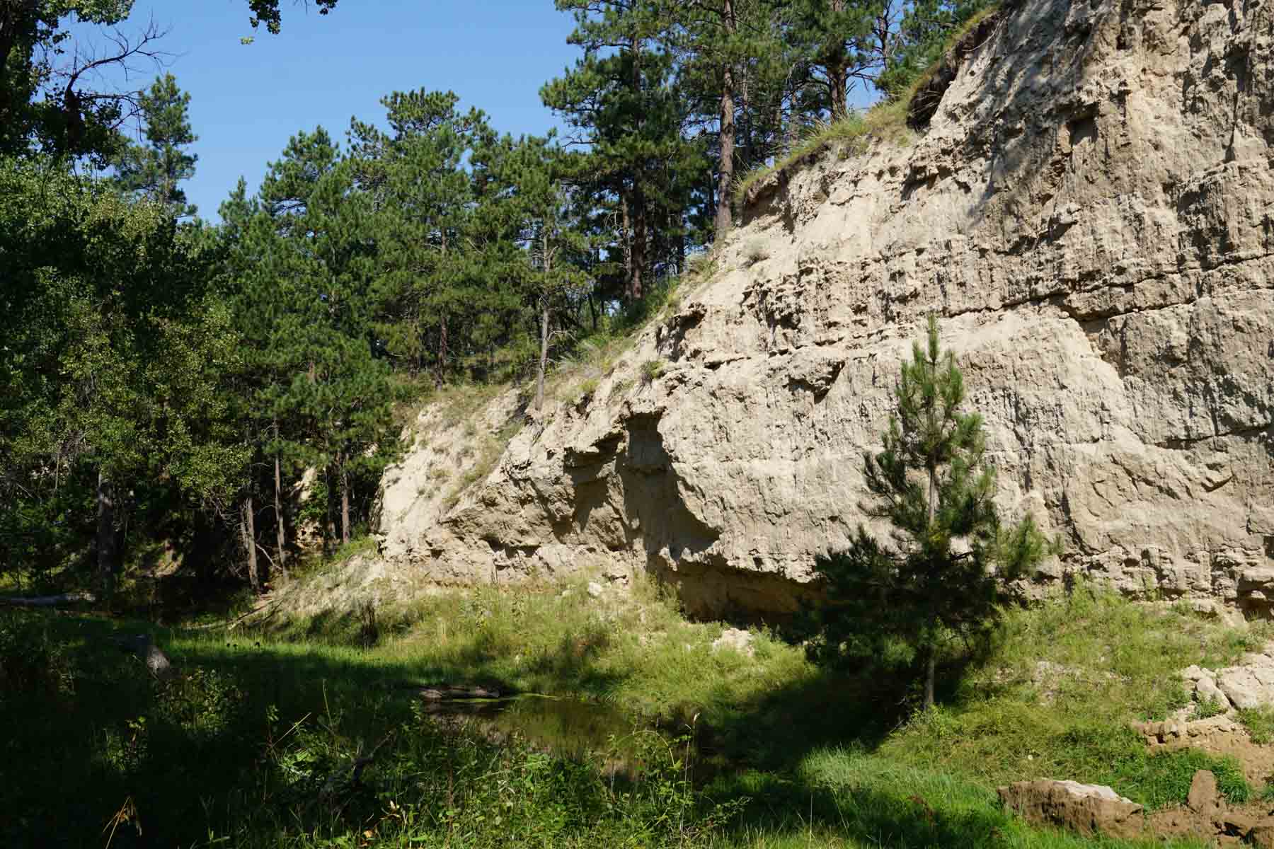 Bozle Creek Ranch property picture 82 of 87