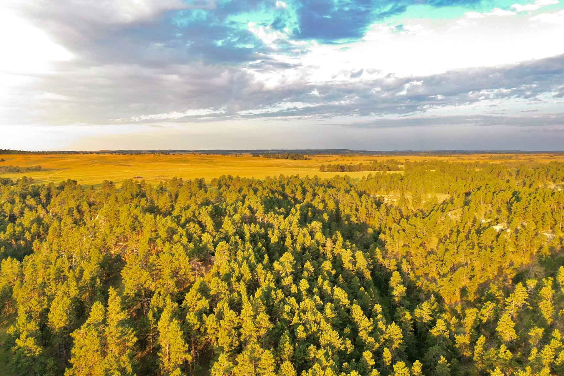 Bozle Creek Ranch property picture 60 of 87