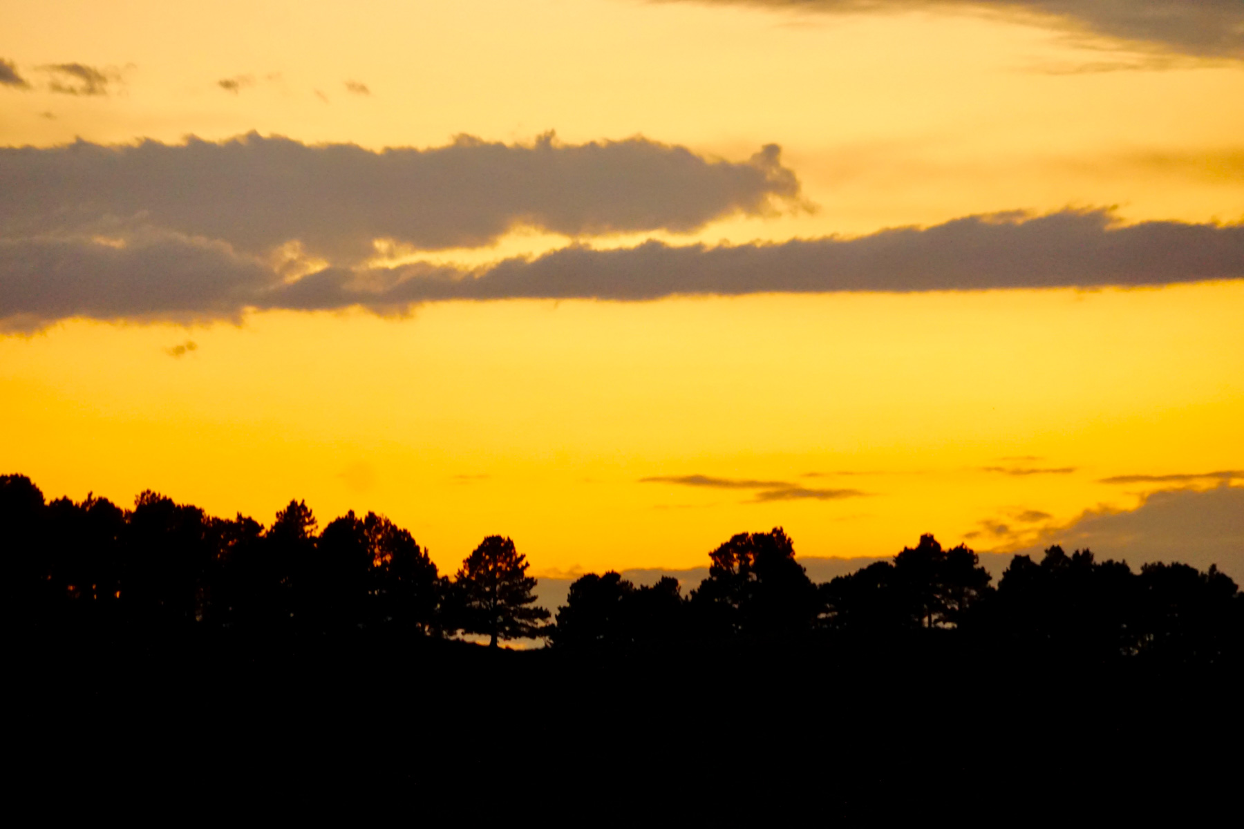 Bozle Creek Ranch property picture 83 of 87
