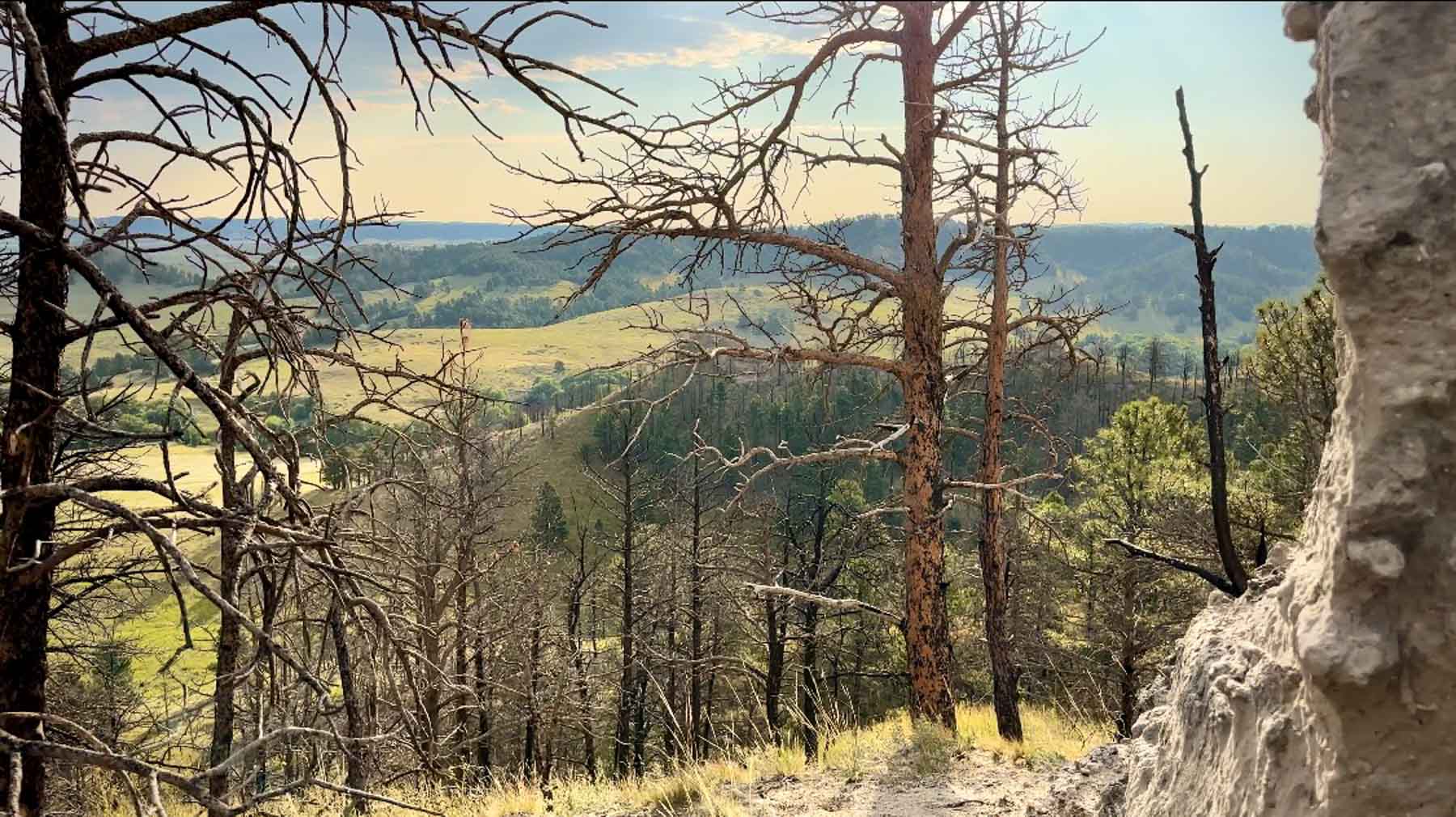 Bozle Creek Ranch property picture 57 of 87