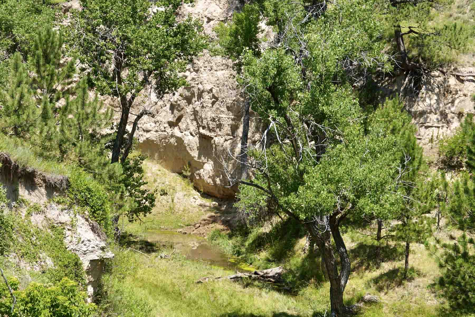 Bozle Creek Ranch property picture 26 of 87