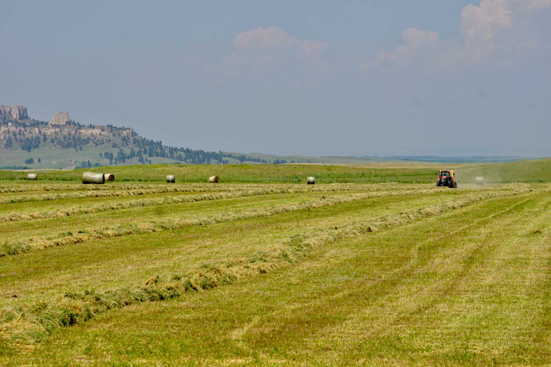 Bozle Creek Ranch property picture 48 of 87