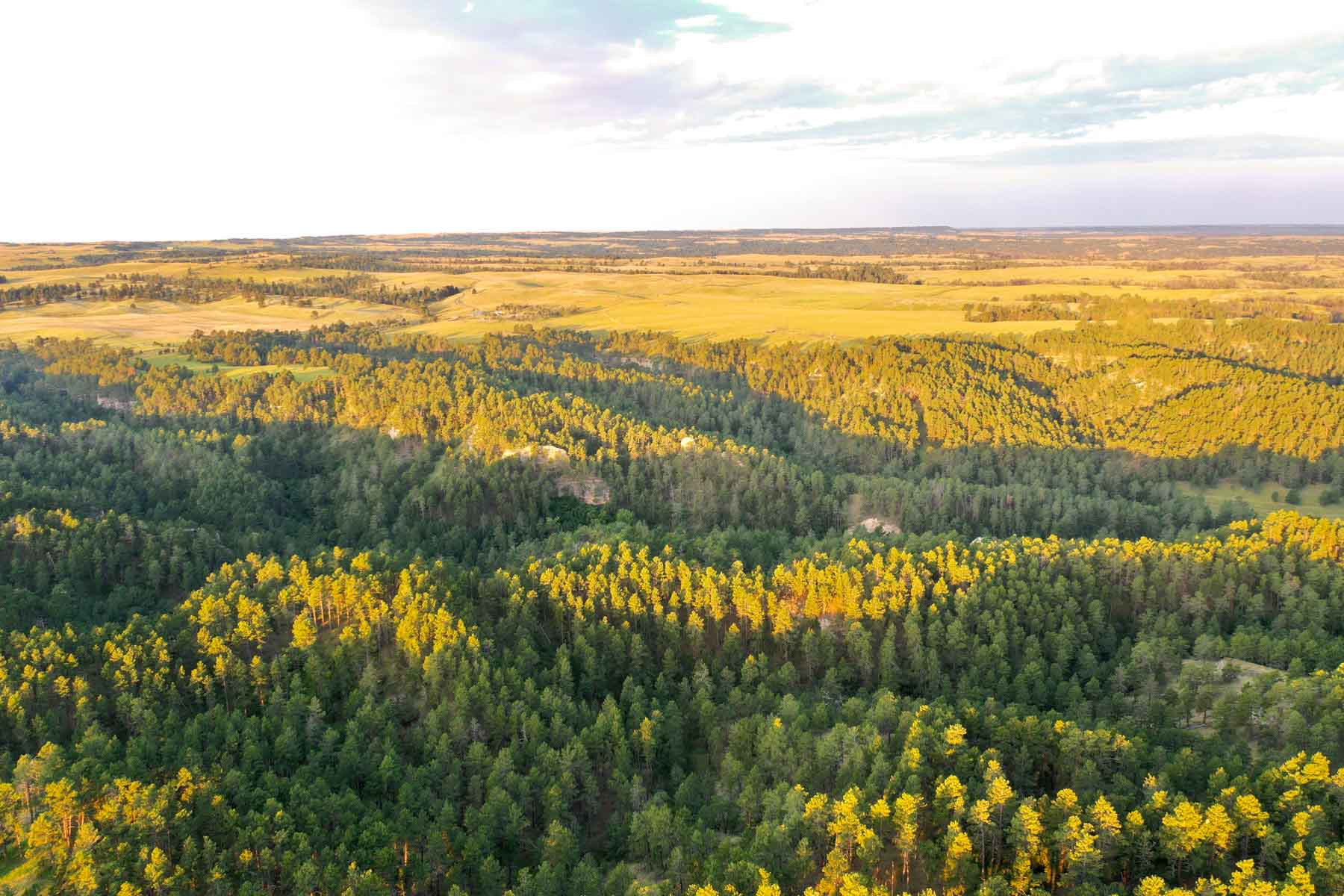 Bozle Creek Ranch property picture 36 of 87