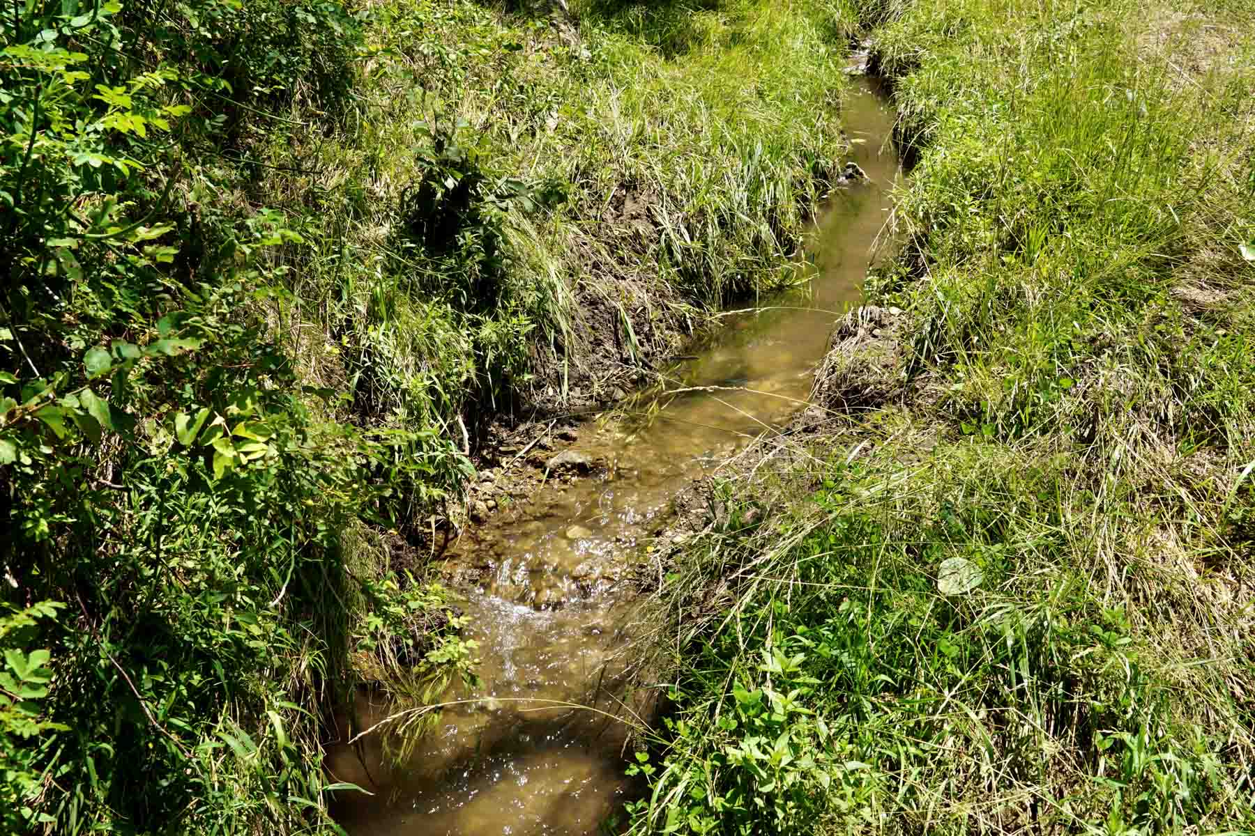 Bozle Creek Ranch property picture 62 of 87