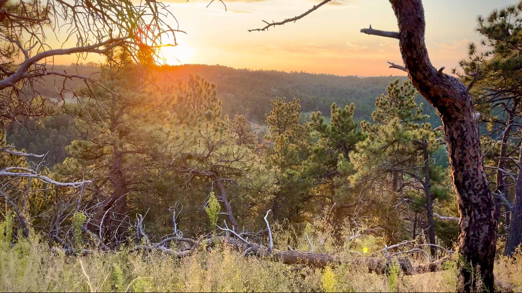 Bozle Creek Ranch property picture 24 of 87
