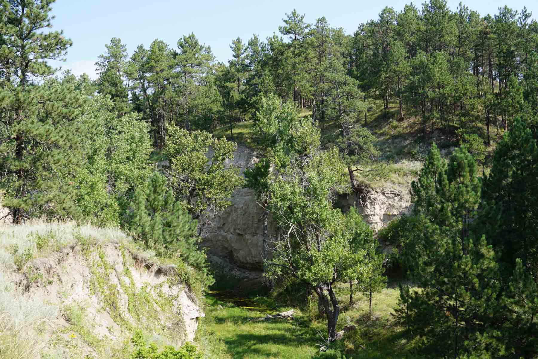 Bozle Creek Ranch property picture 81 of 87