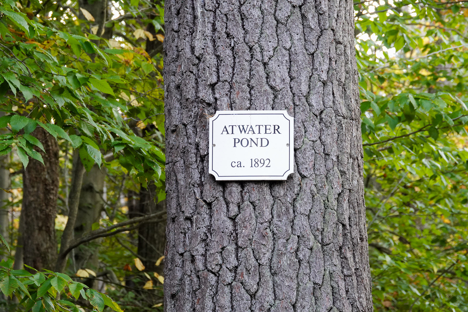 Atwater Pond property picture 60 of 60