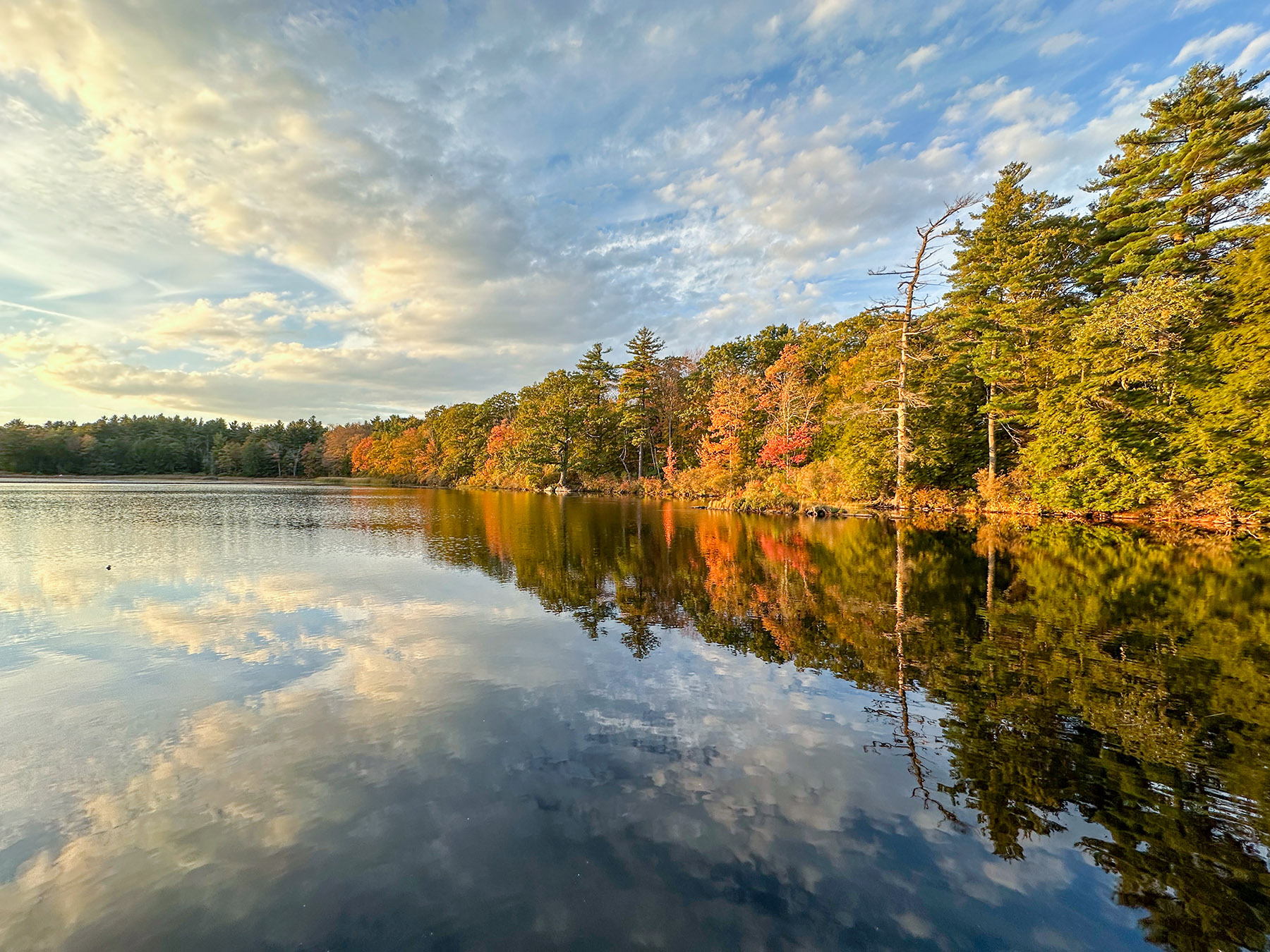 Atwater Pond property picture 59 of 60
