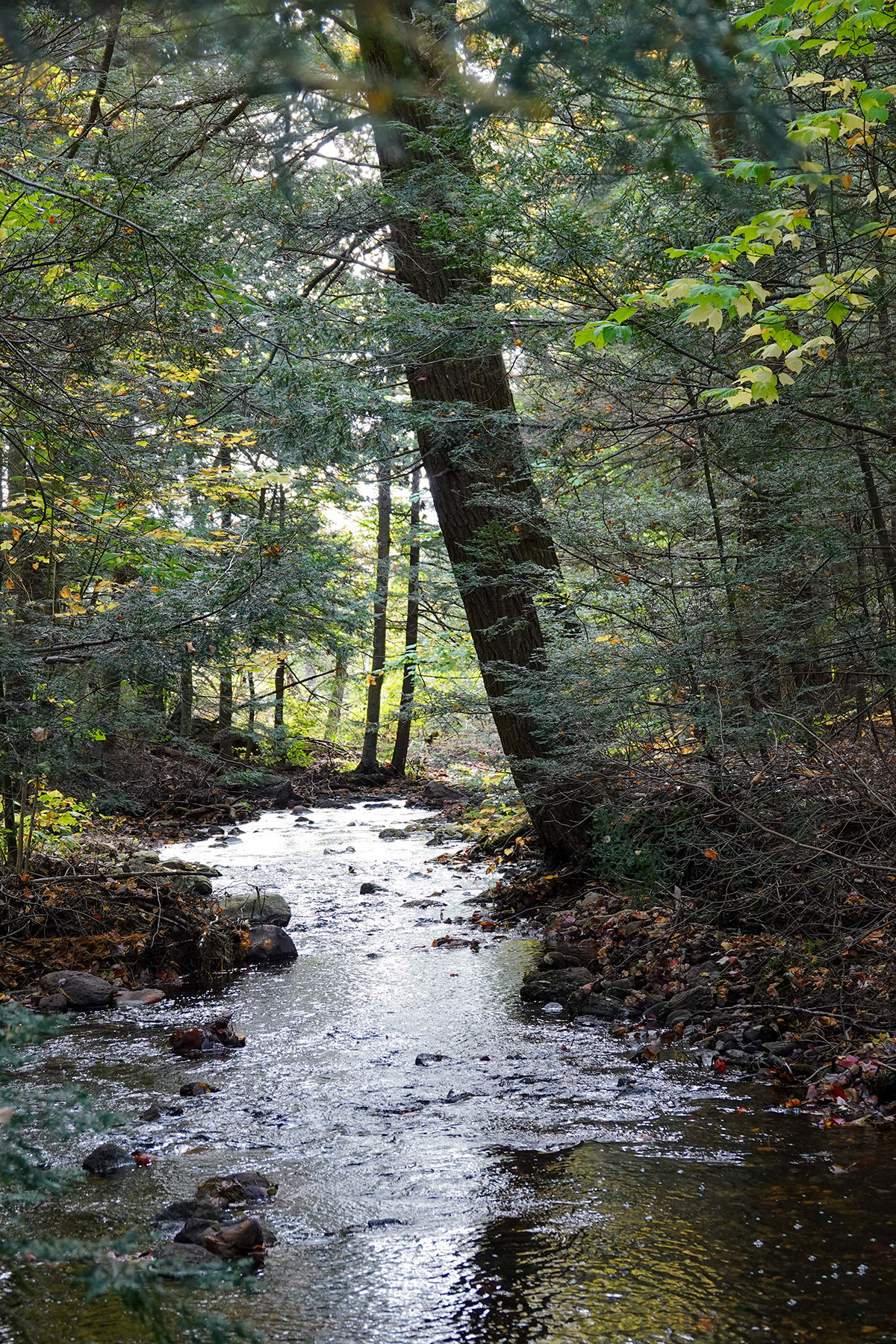 Atwater Pond property picture 52 of 60