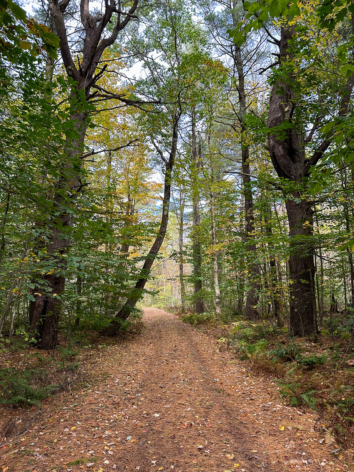 Atwater Pond property picture 55 of 60