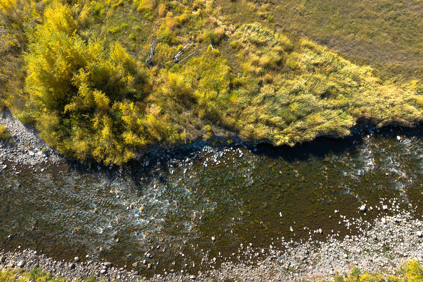 Brown Ranch on the Elk River property picture 32 of 34