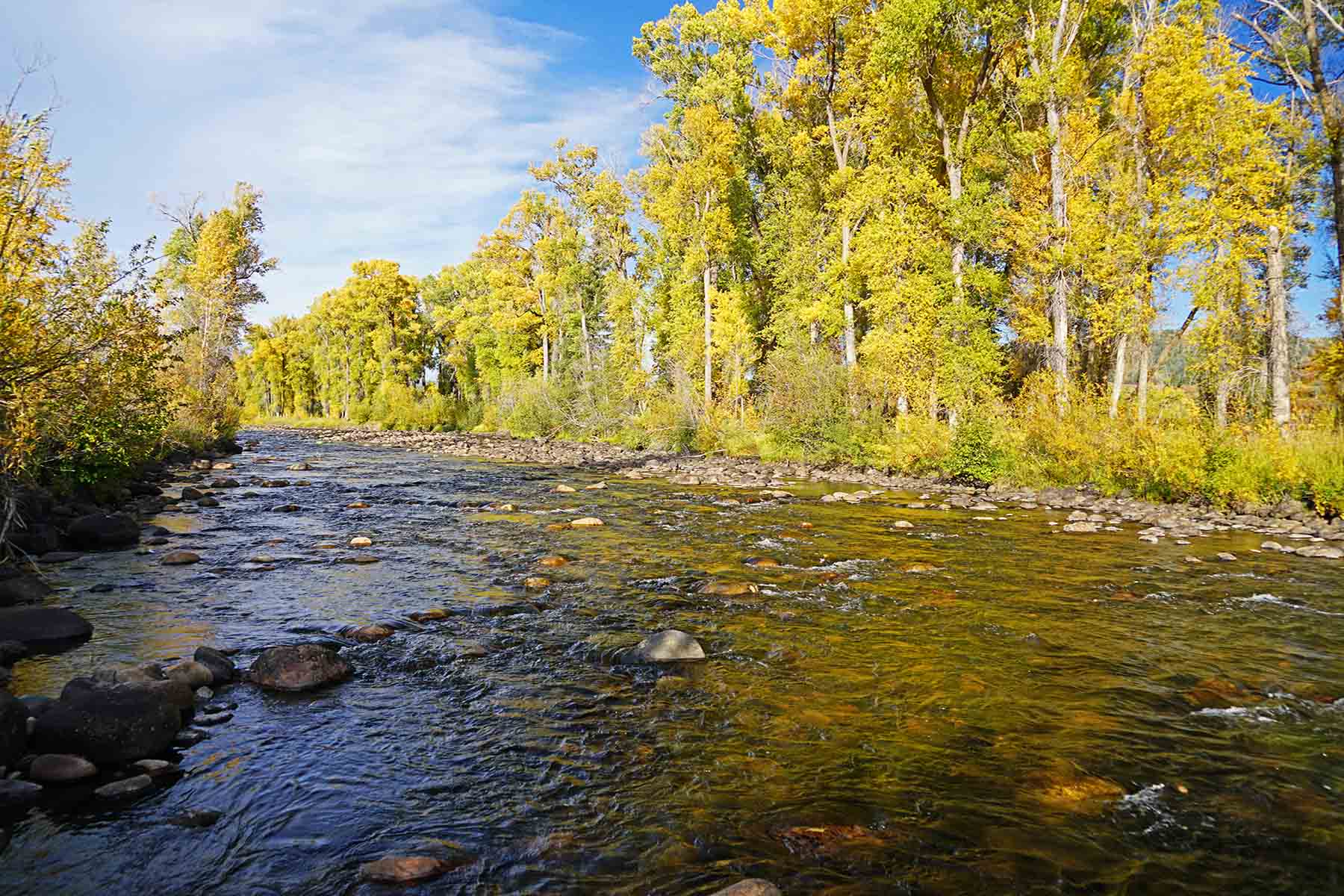 Brown Ranch on the Elk River property picture 17 of 34