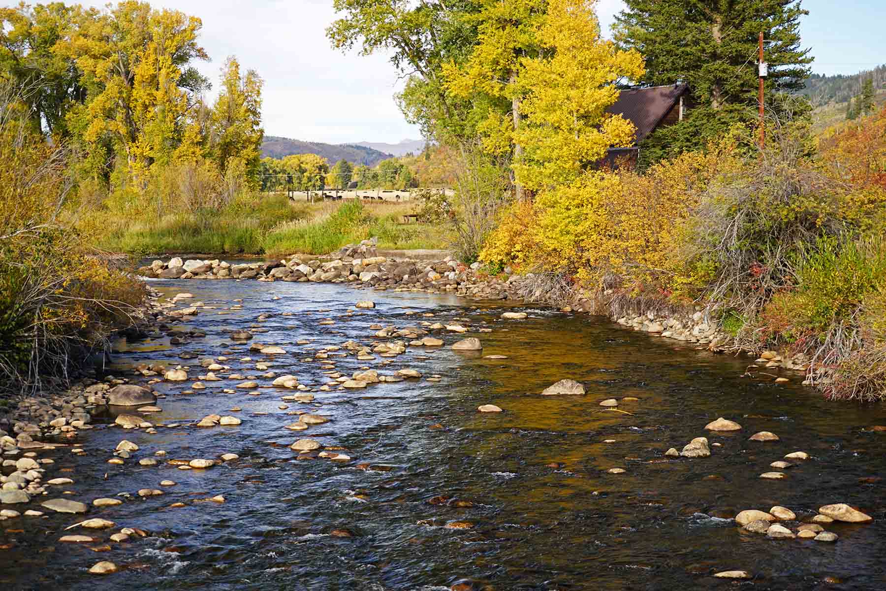 Brown Ranch on the Elk River property picture 19 of 34