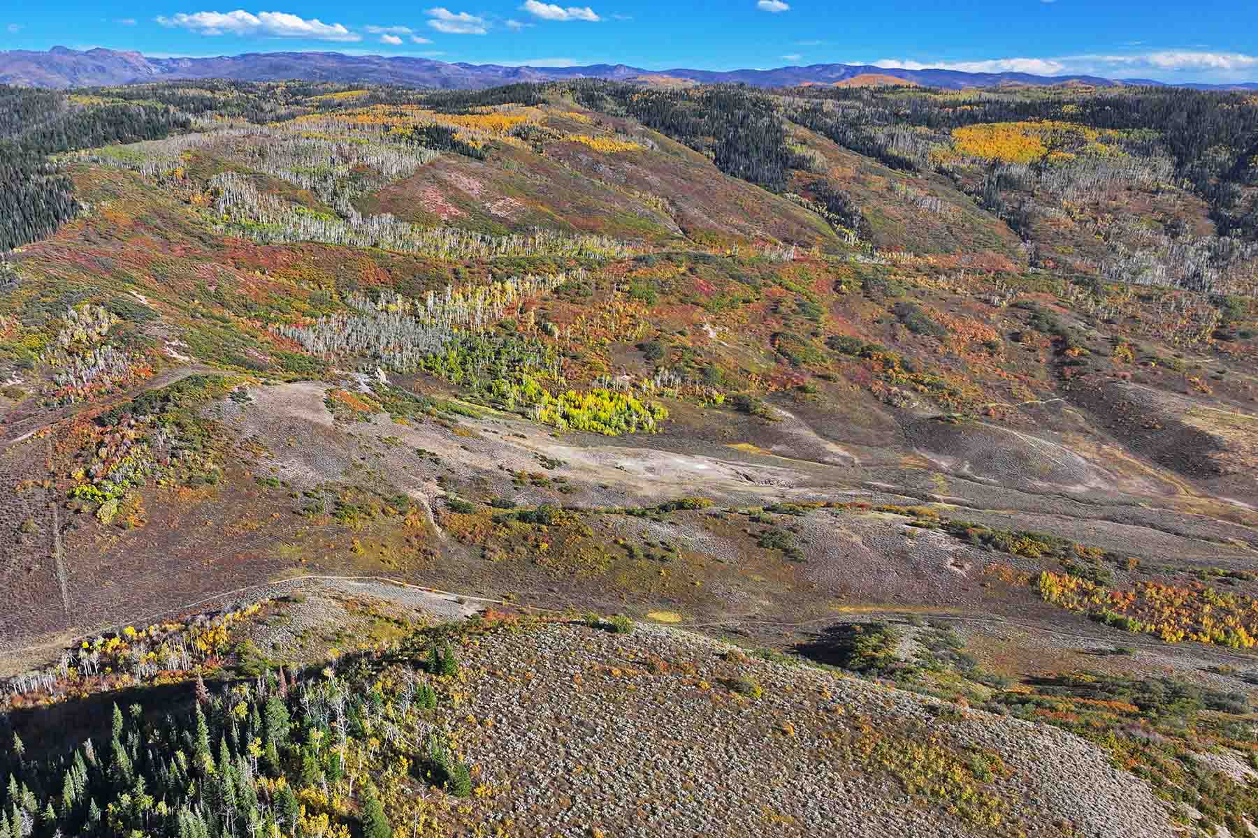 Brown Ranch on the Elk River property picture 27 of 34