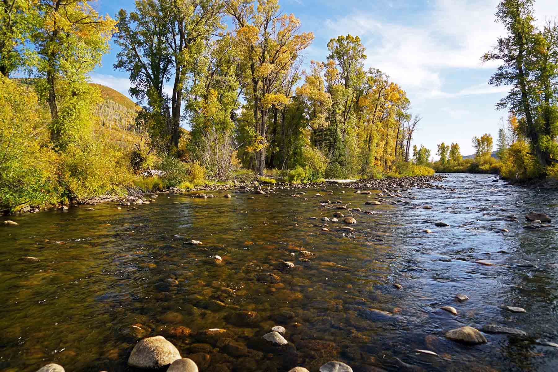 Brown Ranch on the Elk River property picture 16 of 34