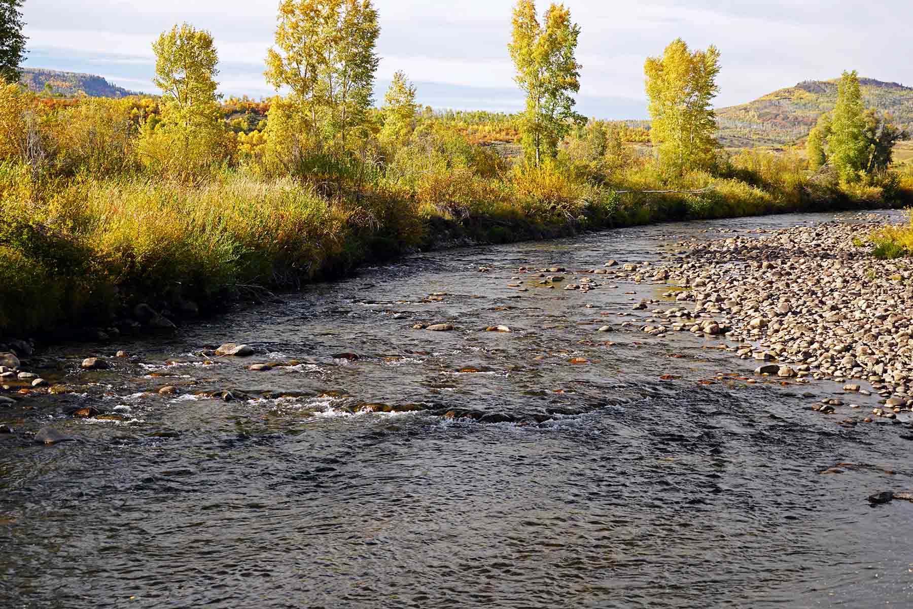 Brown Ranch on the Elk River property picture 21 of 34