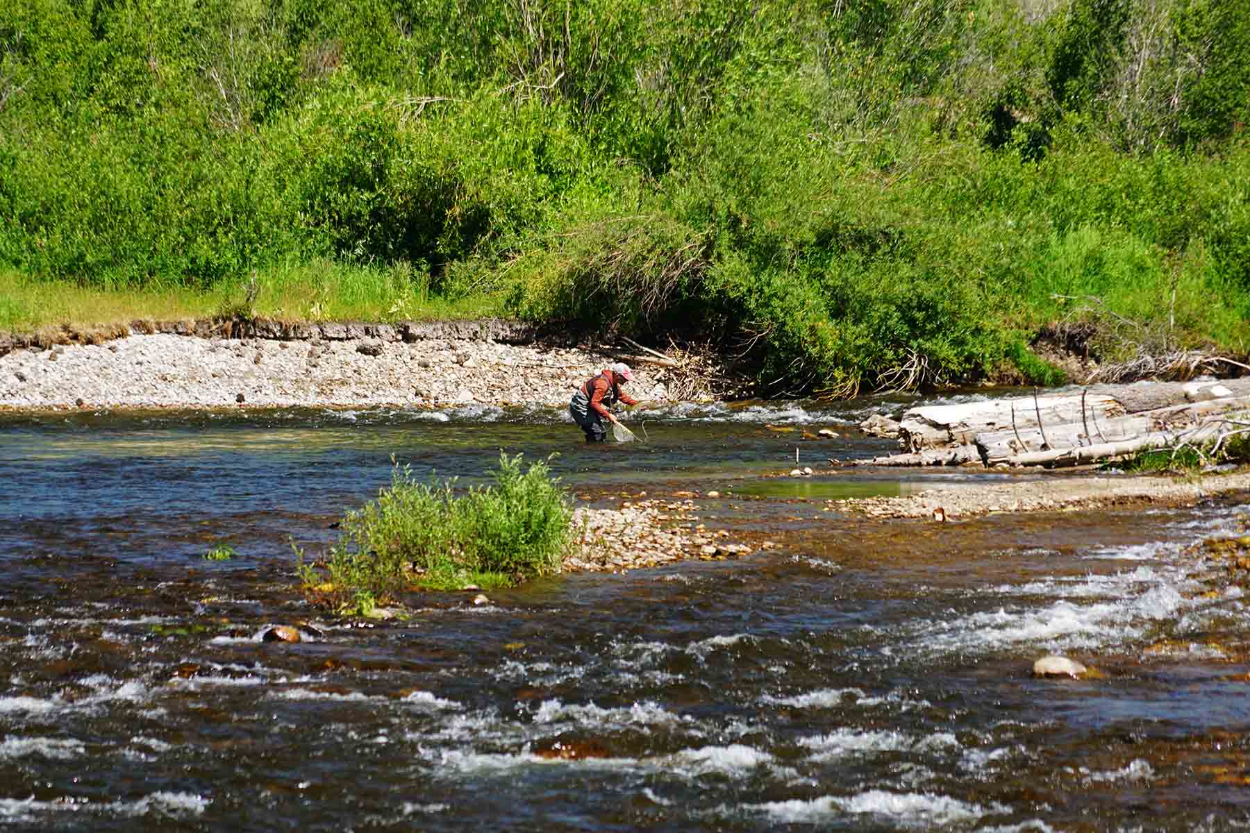 Brown Ranch on the Elk River property picture 26 of 34
