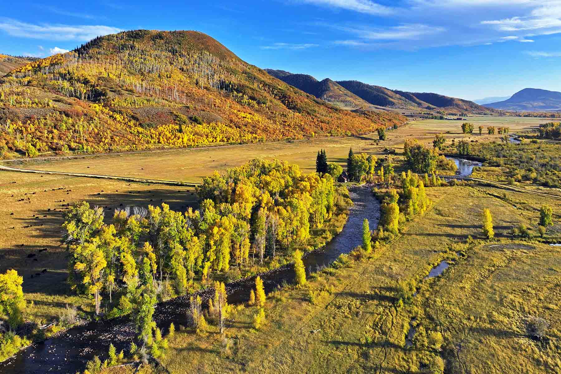Brown Ranch on the Elk River property picture 10 of 34