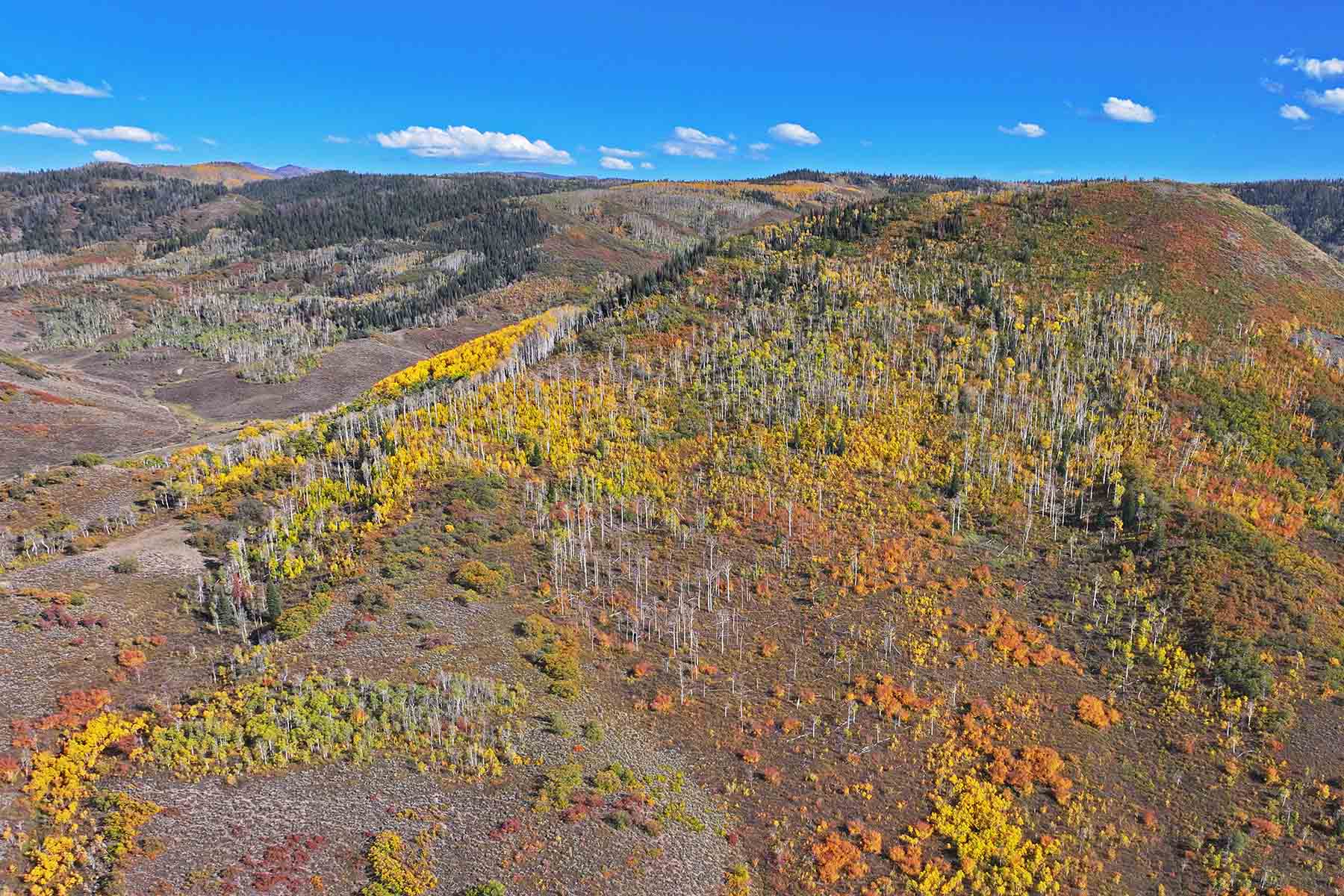 Brown Ranch on the Elk River property picture 6 of 34