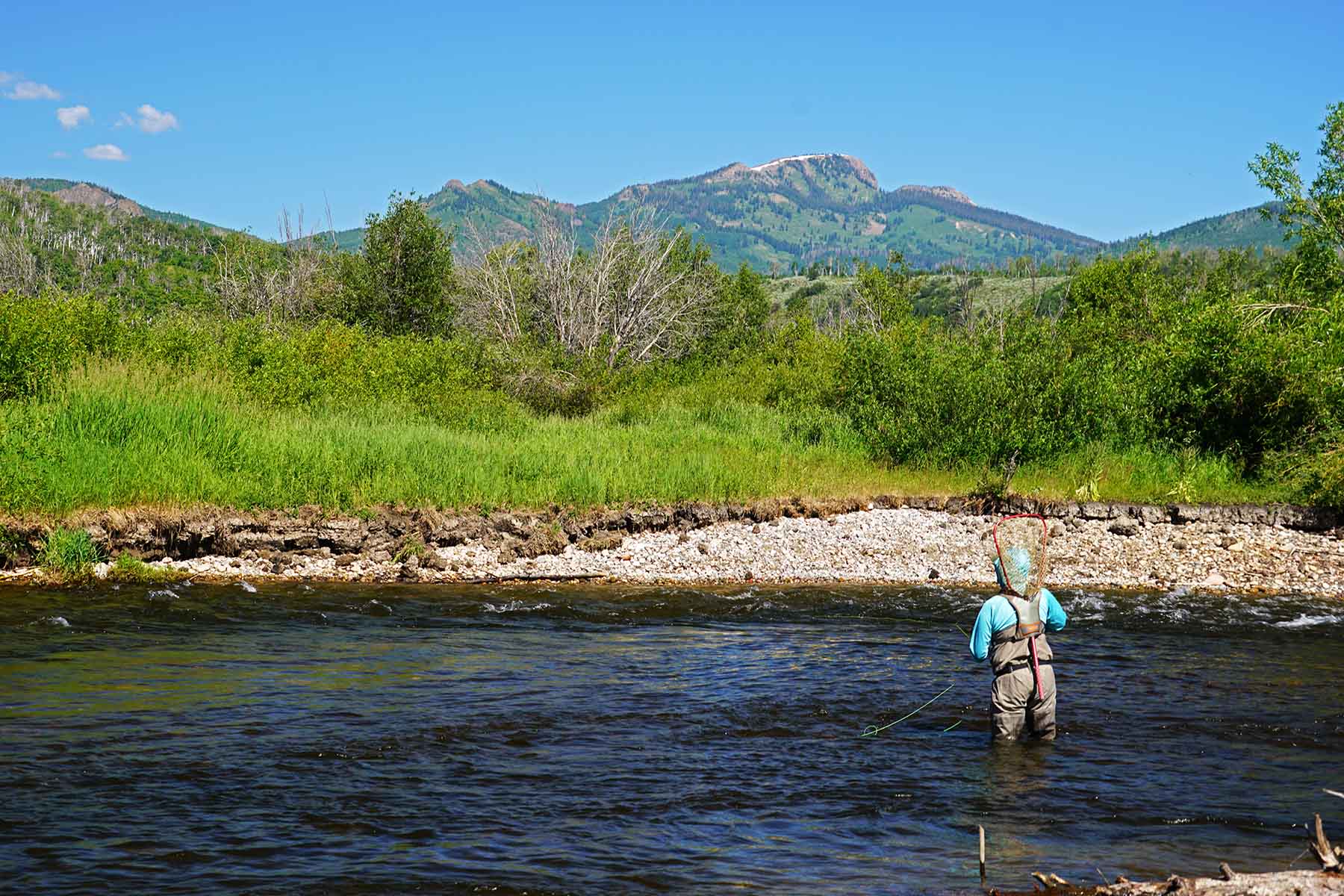Brown Ranch on the Elk River property picture 4 of 34