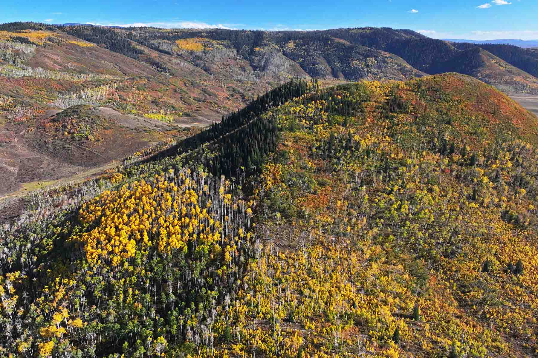 Brown Ranch on the Elk River property picture 9 of 34