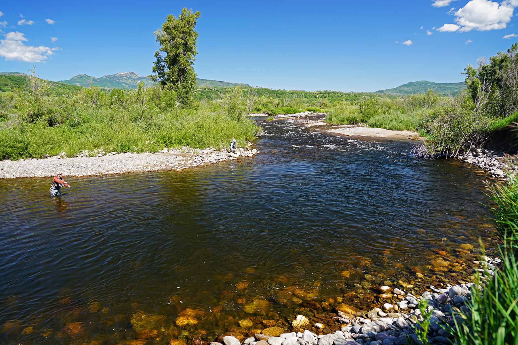 Brown Ranch on the Elk River property picture 25 of 34