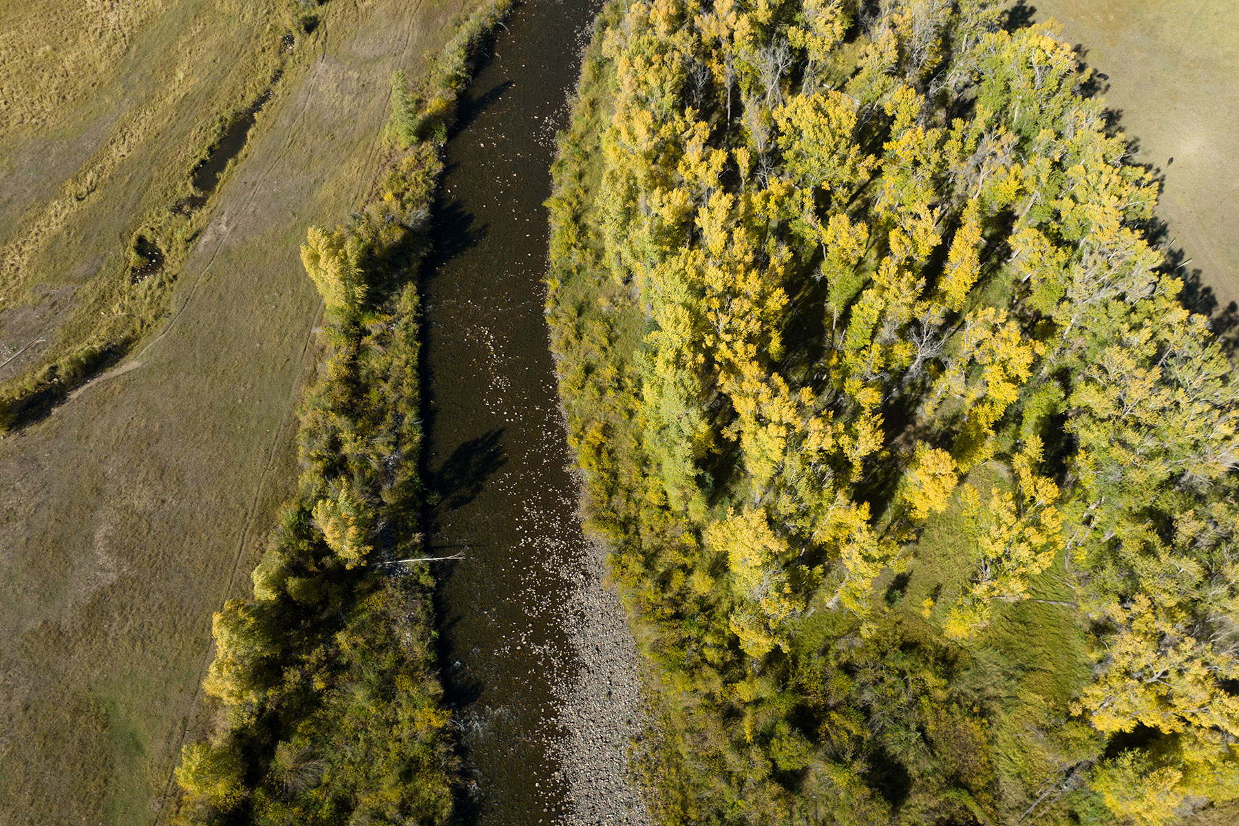 Brown Ranch on the Elk River property picture 33 of 34
