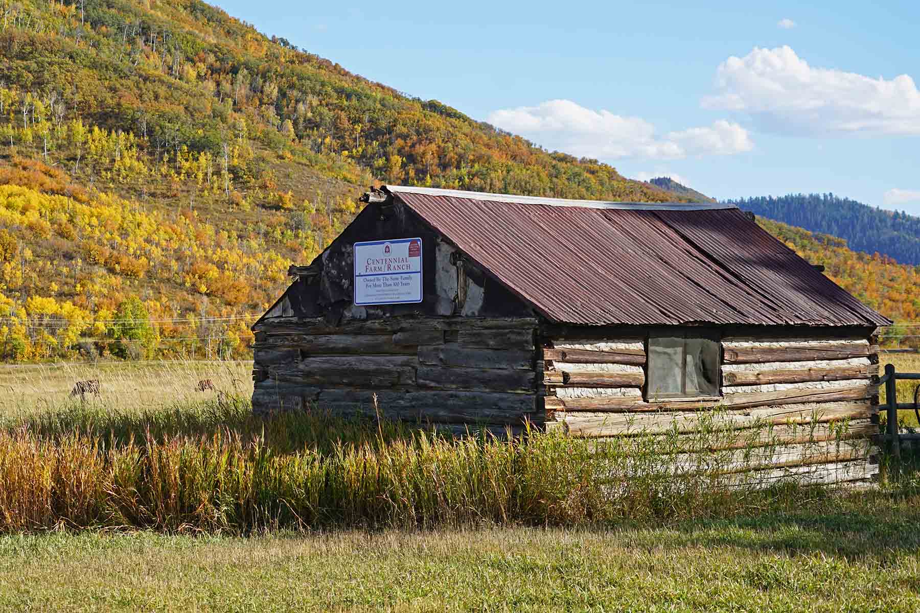 Brown Ranch on the Elk River property picture 28 of 34