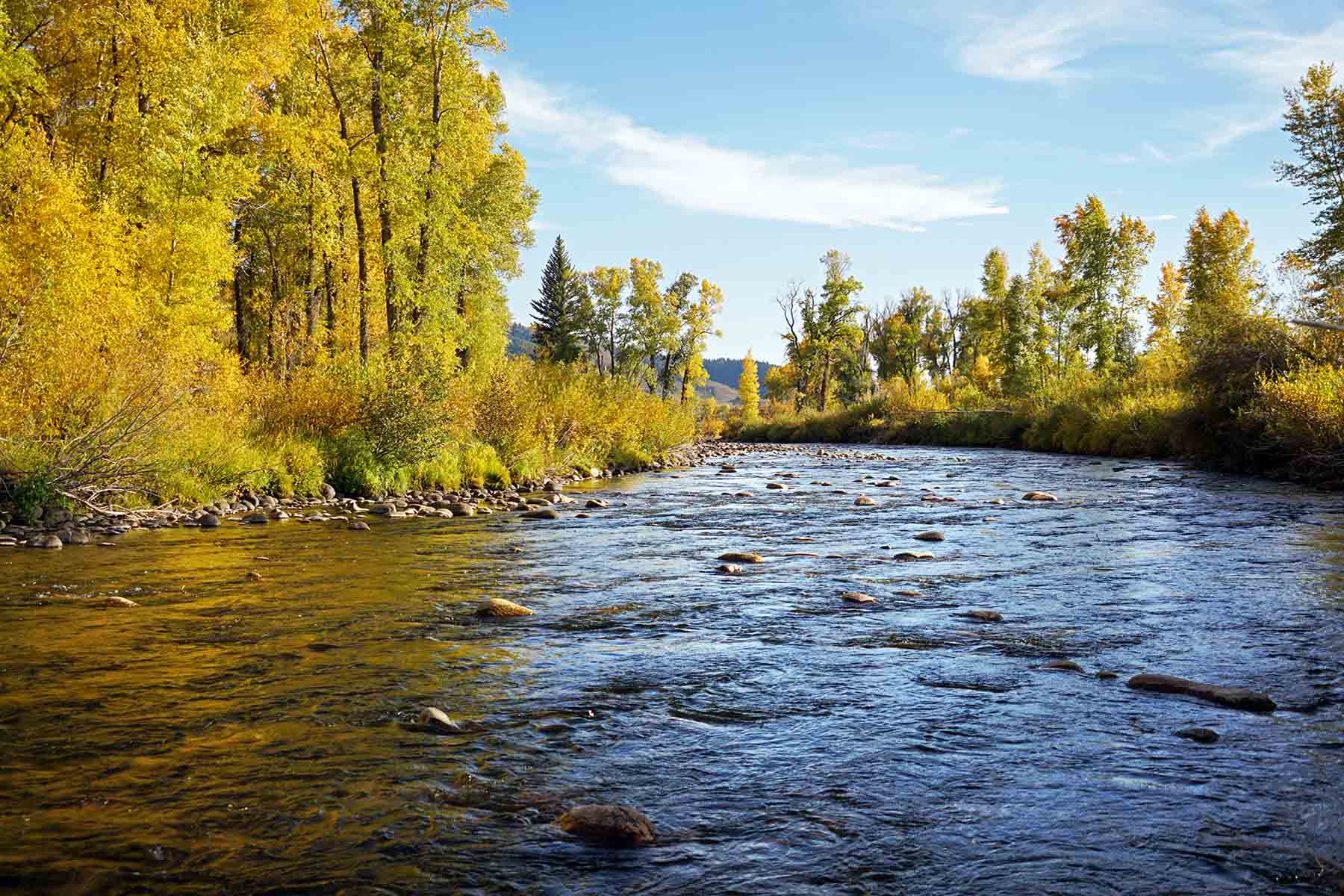 Brown Ranch on the Elk River property picture 29 of 34