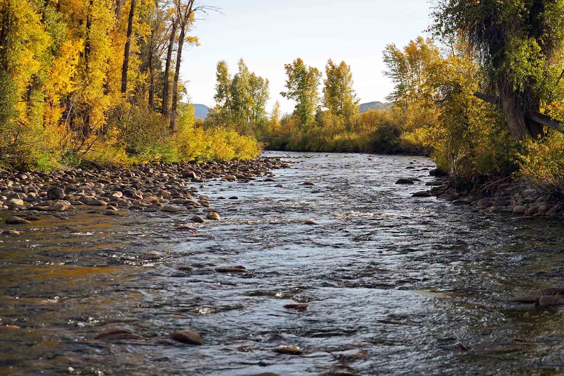 Brown Ranch on the Elk River property picture 22 of 34