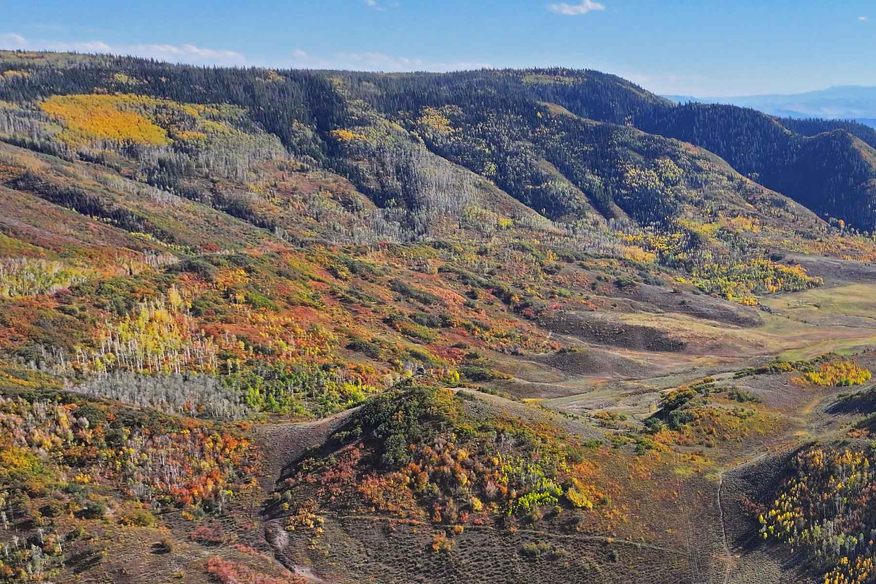 Brown Ranch on the Elk River property picture 3 of 34