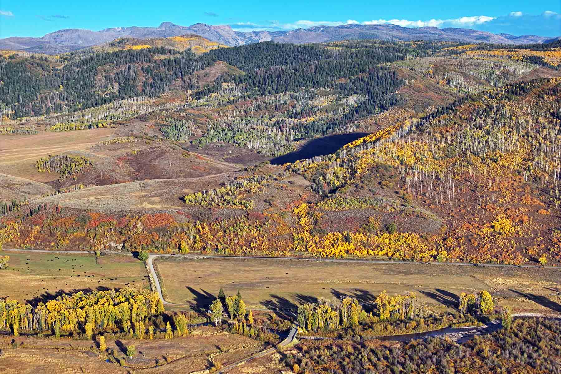 Brown Ranch on the Elk River property picture 12 of 34