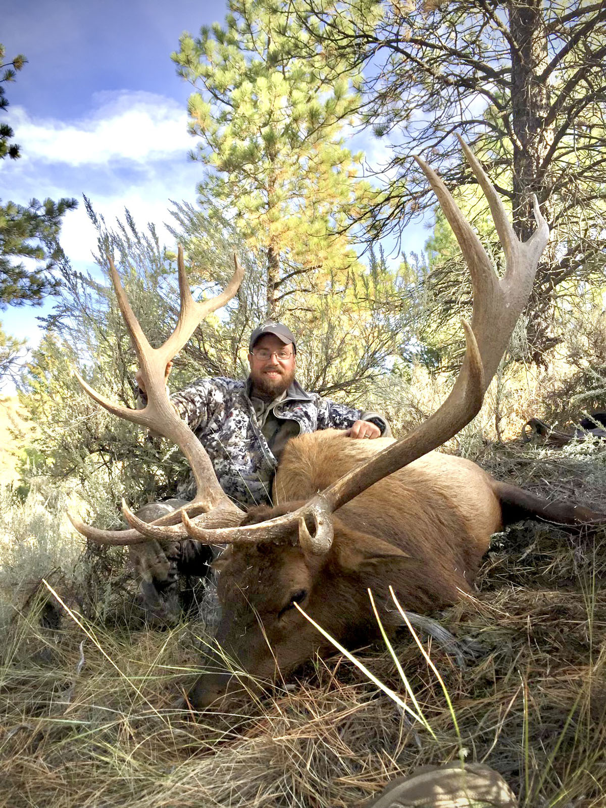 Bitterroot Mountain Retreat property picture 97 of 106