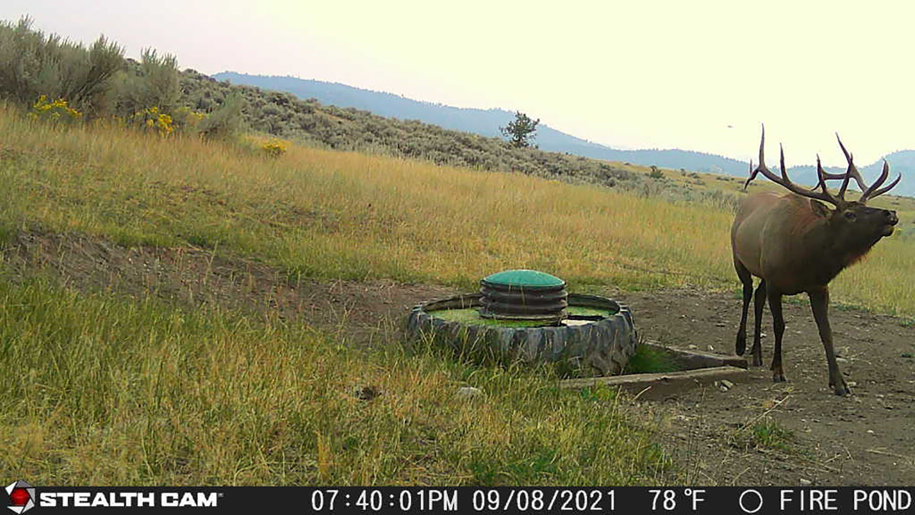 Bitterroot Mountain Retreat property picture 93 of 106