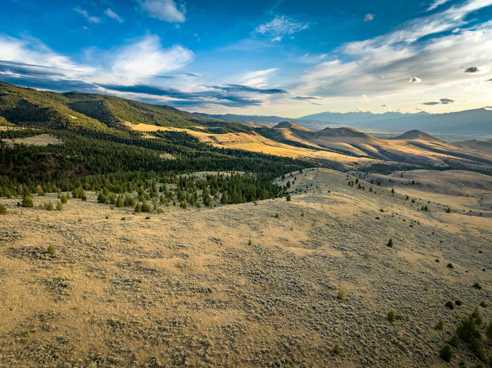 Bitterroot Mountain Retreat property picture 4 of 106