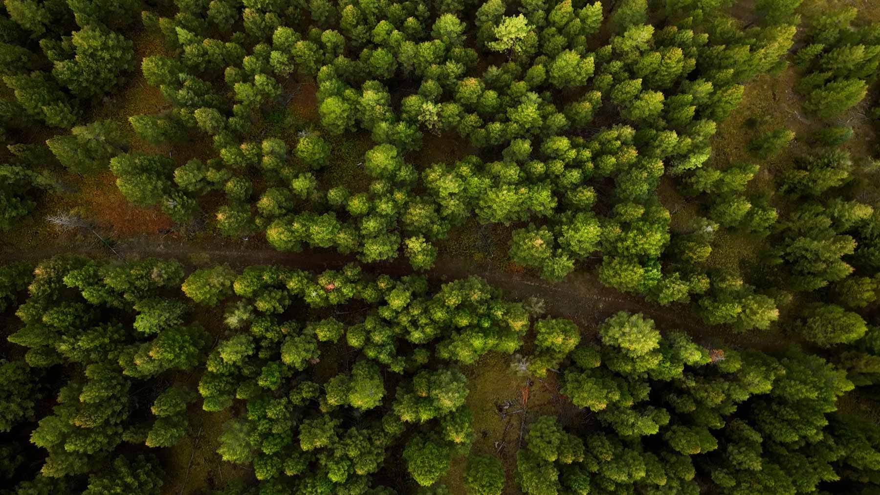 Bitterroot Mountain Retreat property picture 33 of 106