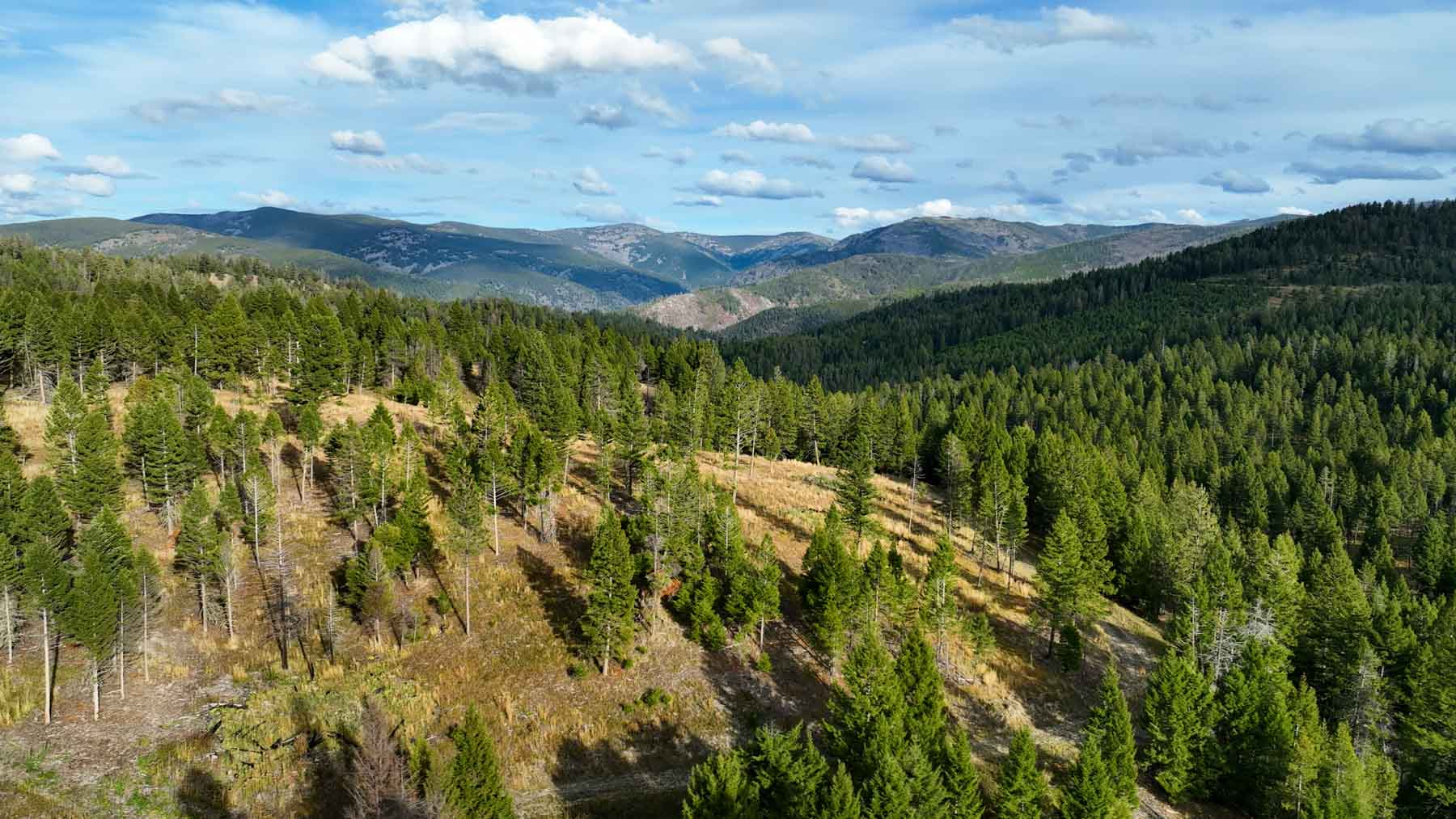 Bitterroot Mountain Retreat property picture 5 of 106