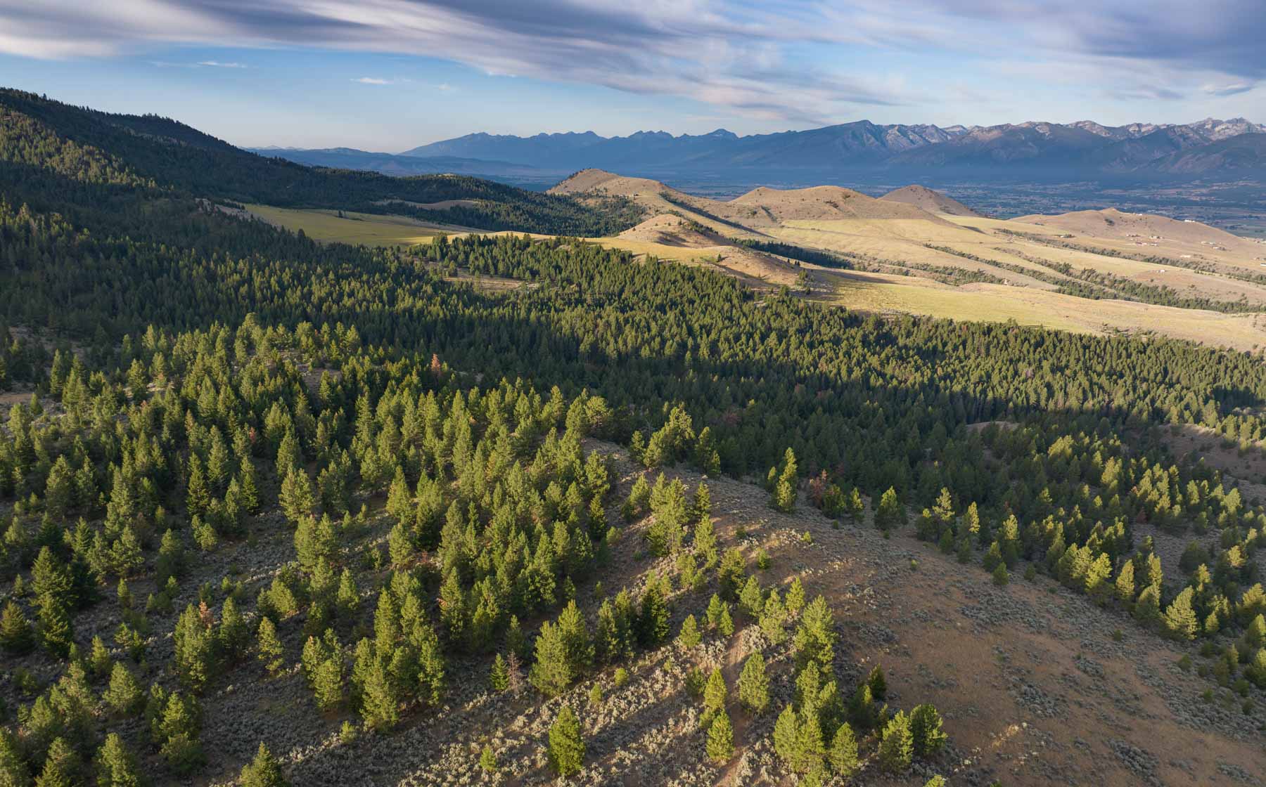 Bitterroot Mountain Retreat property picture 6 of 106