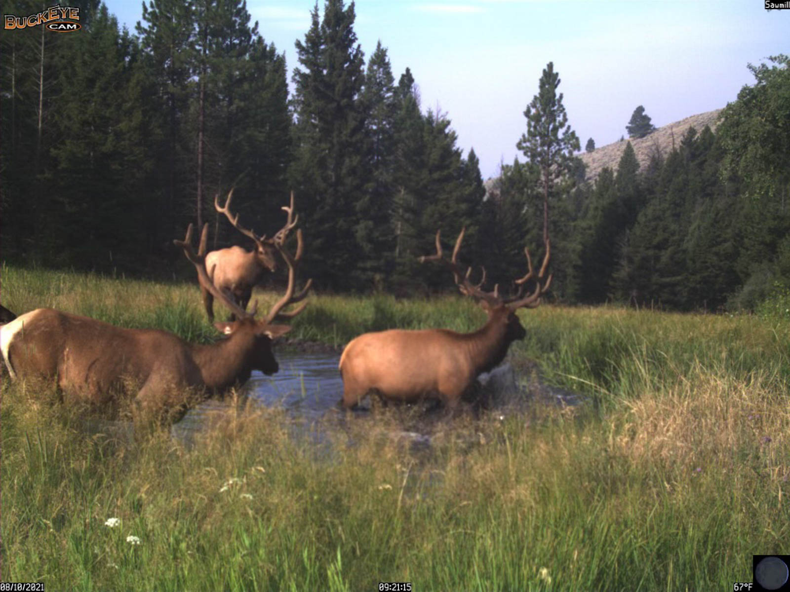 Bitterroot Mountain Retreat property picture 90 of 106