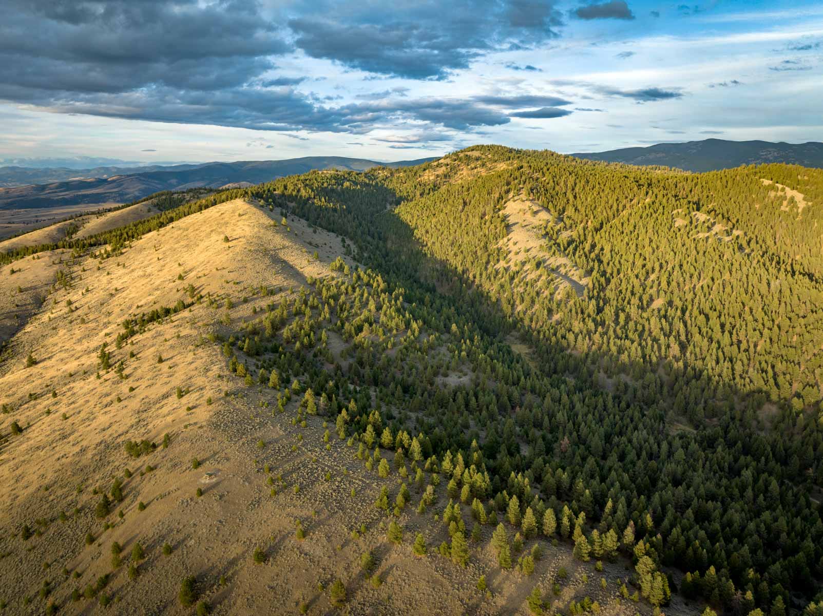 Bitterroot Mountain Retreat property picture 11 of 106